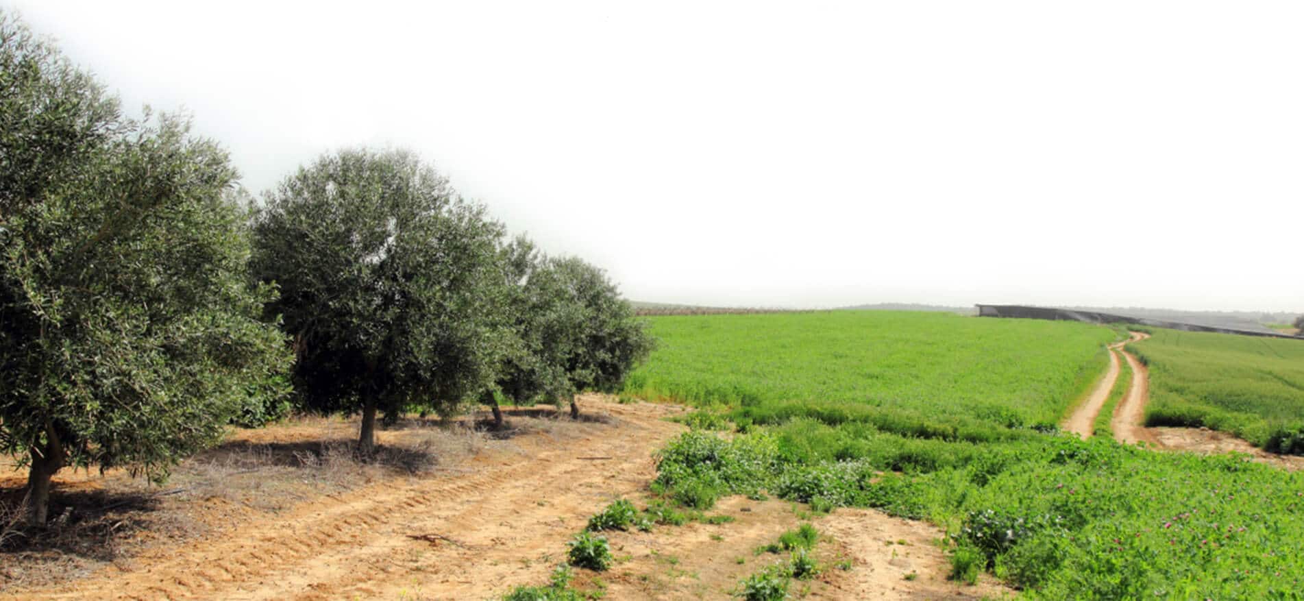 משק בוטיק פתורה משק בוטיק פתורה