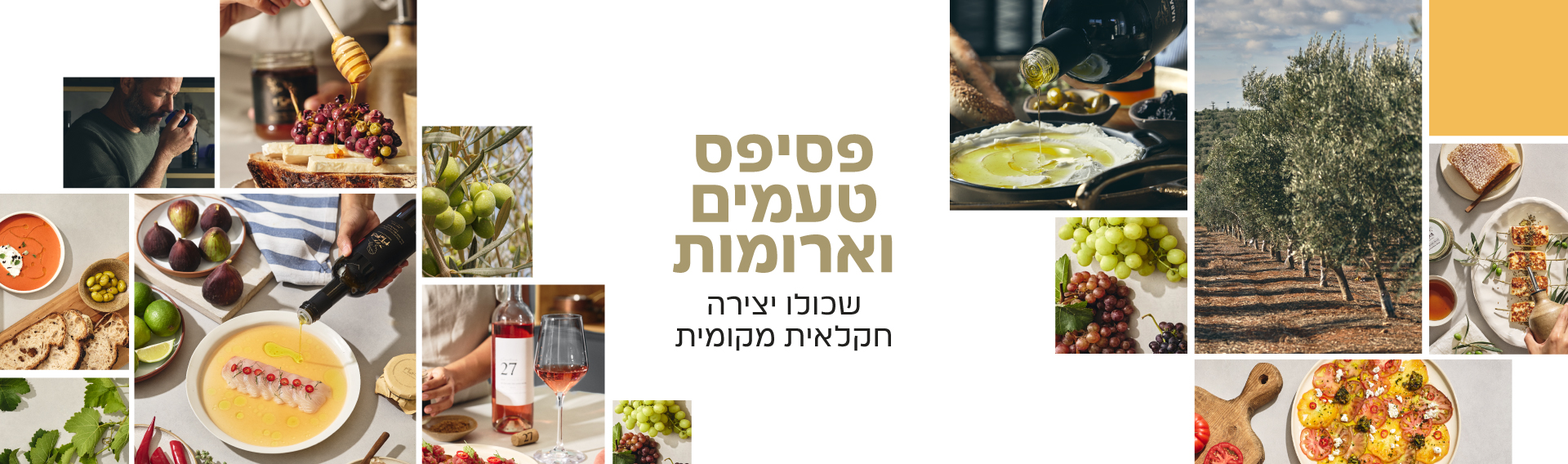 באנר-אתר-דסקטופ